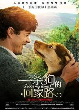 文德皇后
