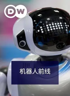 一片树叶的故事