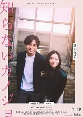 山中佐和子表情包