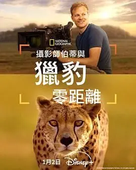 十大最强奥特曼