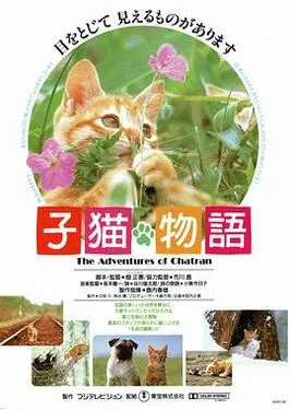 全国最大的大学