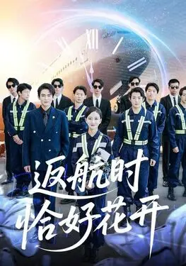 YW1173又换到哪个了