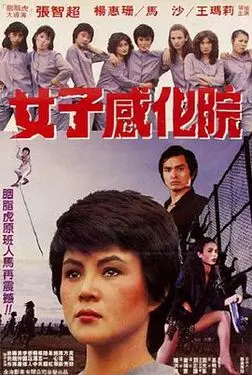 女性生殖图示各结构详解图片大全