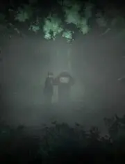 407事件的视频