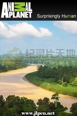 欧美拍照很火拍照软件