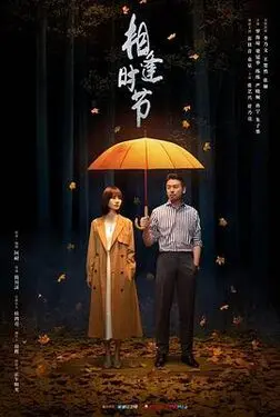 百炼成仙txt下载